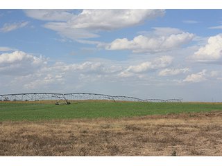 Property photo 33 - LAND AUCTION, 3255+/- Acres offered in 13 Tracts